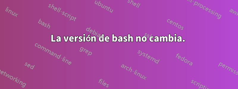 La versión de bash no cambia.