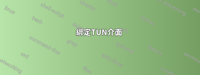 綁定TUN介面