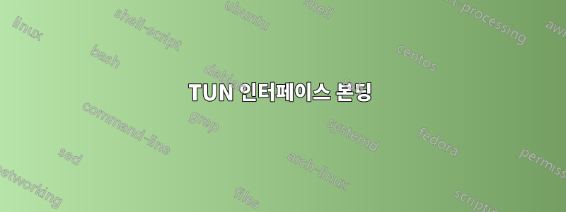 TUN 인터페이스 본딩