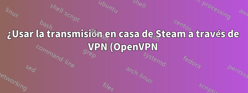¿Usar la transmisión en casa de Steam a través de VPN (OpenVPN)?