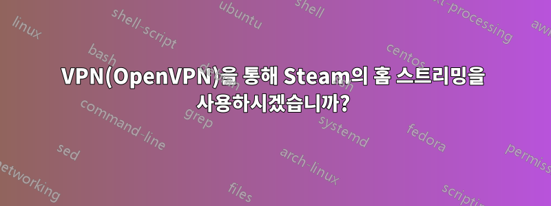 VPN(OpenVPN)을 통해 Steam의 홈 스트리밍을 사용하시겠습니까?