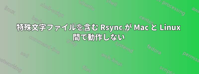 特殊文字ファイルを含む Rsync が Mac と Linux 間で動作しない