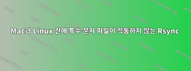 Mac과 Linux 간에 특수 문자 파일이 작동하지 않는 Rsync