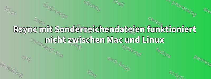 Rsync mit Sonderzeichendateien funktioniert nicht zwischen Mac und Linux