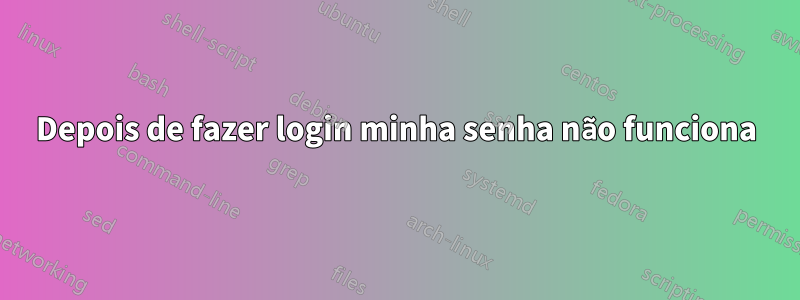 Depois de fazer login minha senha não funciona