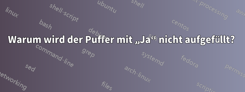 Warum wird der Puffer mit „Ja“ nicht aufgefüllt?