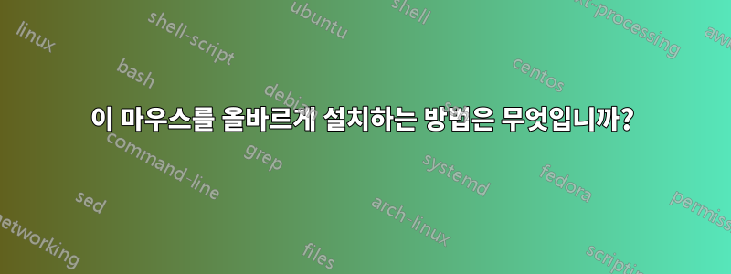 이 마우스를 올바르게 설치하는 방법은 무엇입니까?