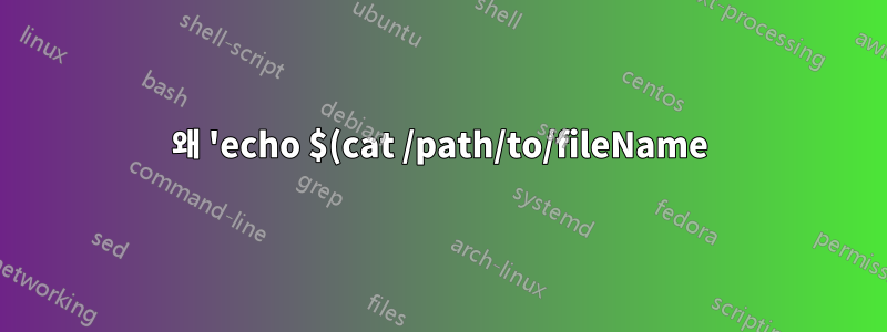 왜 'echo $(cat /path/to/fileName)'이 내 파일과 방향을 나열합니까?