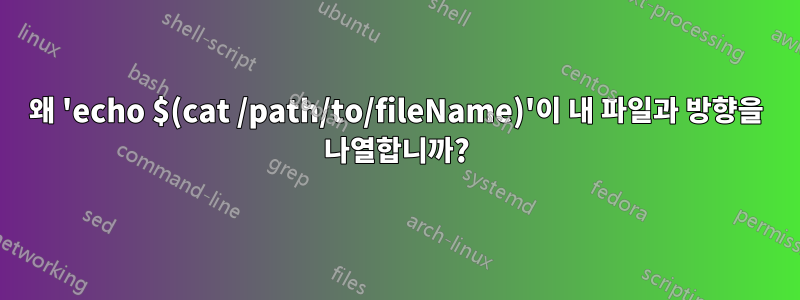 왜 'echo $(cat /path/to/fileName)'이 내 파일과 방향을 나열합니까?