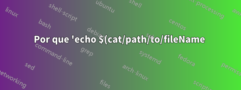 Por que 'echo $(cat/path/to/fileName)' lista meus arquivos e direções?