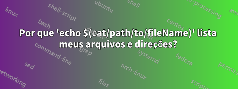 Por que 'echo $(cat/path/to/fileName)' lista meus arquivos e direções?