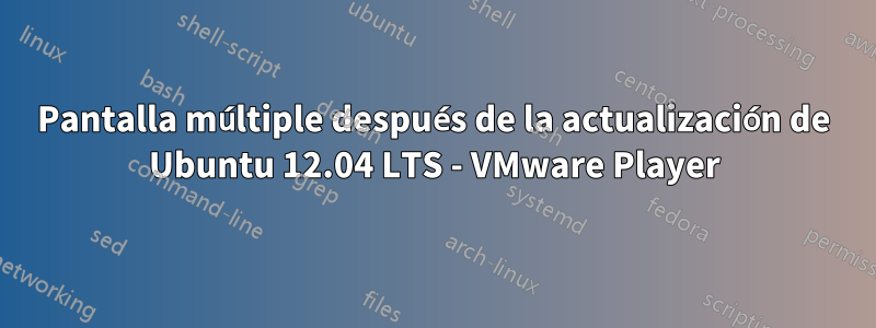 Pantalla múltiple después de la actualización de Ubuntu 12.04 LTS - VMware Player