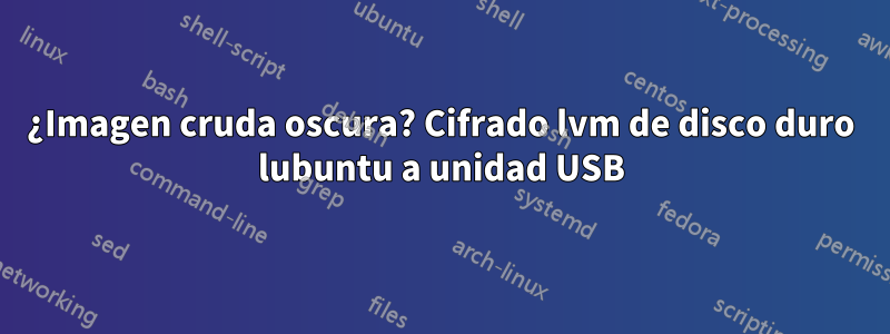 ¿Imagen cruda oscura? Cifrado lvm de disco duro lubuntu a unidad USB