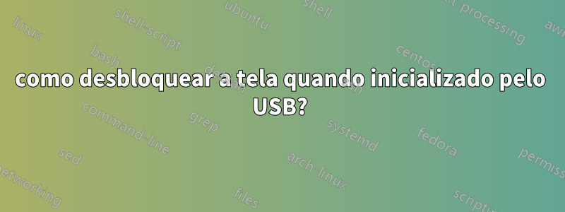 como desbloquear a tela quando inicializado pelo USB?