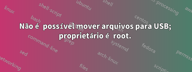 Não é possível mover arquivos para USB; proprietário é root.