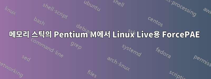 메모리 스틱의 Pentium M에서 Linux Live용 ForcePAE