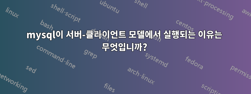 mysql이 서버-클라이언트 모델에서 실행되는 이유는 무엇입니까?