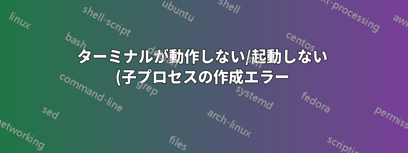 ターミナルが動作しない/起動しない (子プロセスの作成エラー)