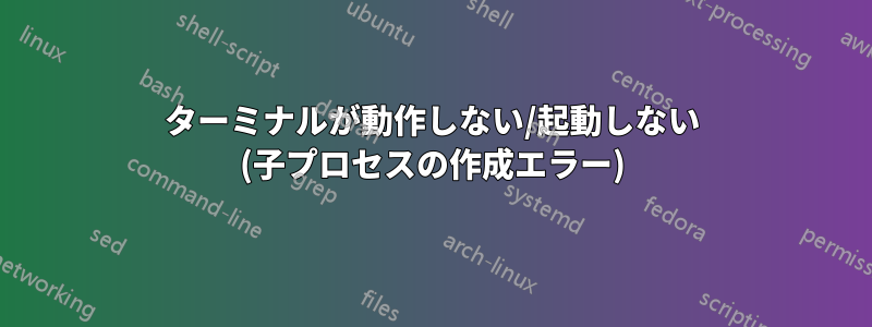 ターミナルが動作しない/起動しない (子プロセスの作成エラー)