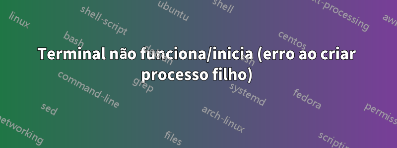 Terminal não funciona/inicia (erro ao criar processo filho)