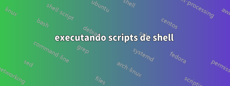 executando scripts de shell