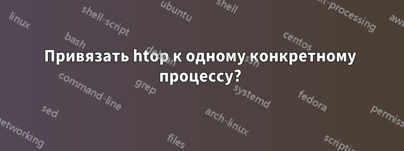 Привязать htop к одному конкретному процессу?