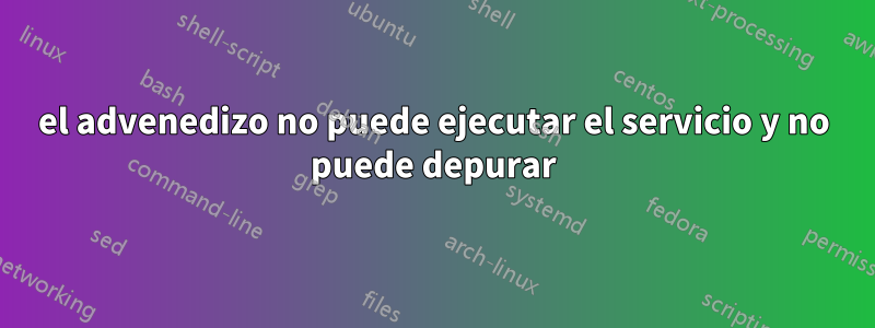 el advenedizo no puede ejecutar el servicio y no puede depurar