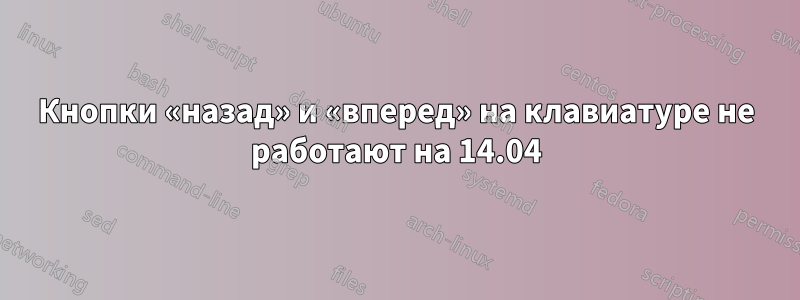 Кнопки «назад» и «вперед» на клавиатуре не работают на 14.04