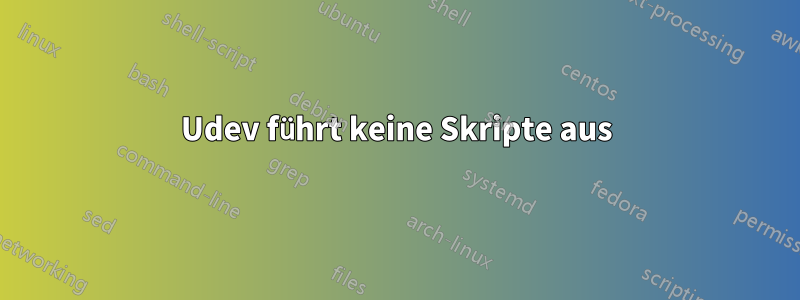 Udev führt keine Skripte aus