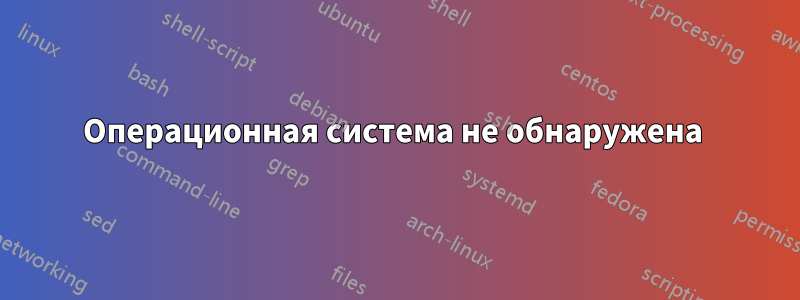 Операционная система не обнаружена 