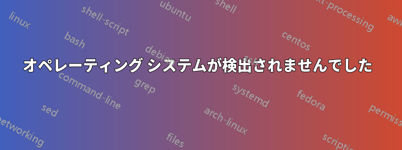 オペレーティング システムが検出されませんでした 