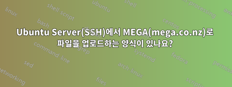 Ubuntu Server(SSH)에서 MEGA(mega.co.nz)로 파일을 업로드하는 양식이 있나요?