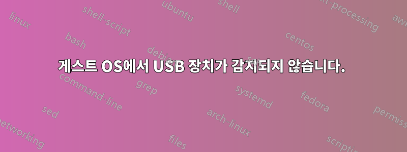 게스트 OS에서 USB 장치가 감지되지 않습니다.