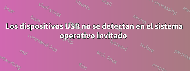 Los dispositivos USB no se detectan en el sistema operativo invitado 