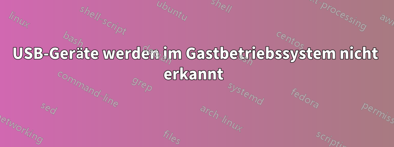 USB-Geräte werden im Gastbetriebssystem nicht erkannt 