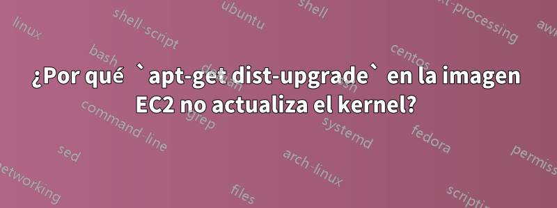 ¿Por qué `apt-get dist-upgrade` en la imagen EC2 no actualiza el kernel?