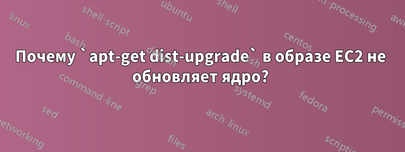 Почему `apt-get dist-upgrade` в образе EC2 не обновляет ядро?