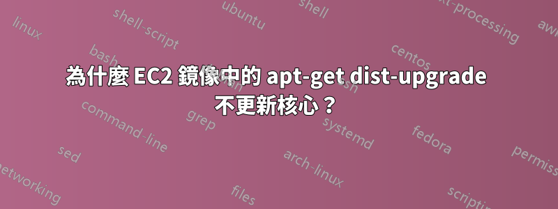 為什麼 EC2 鏡像中的 apt-get dist-upgrade 不更新核心？