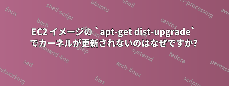 EC2 イメージの `apt-get dist-upgrade` でカーネルが更新されないのはなぜですか?