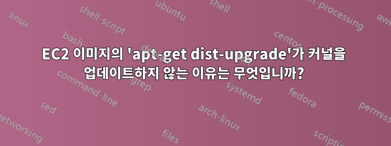 EC2 이미지의 'apt-get dist-upgrade'가 커널을 업데이트하지 않는 이유는 무엇입니까?