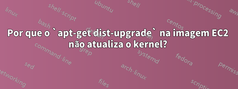 Por que o `apt-get dist-upgrade` na imagem EC2 não atualiza o kernel?