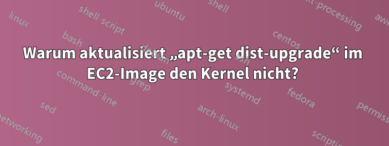 Warum aktualisiert „apt-get dist-upgrade“ im EC2-Image den Kernel nicht?