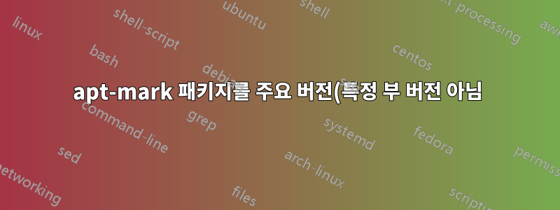 apt-mark 패키지를 주요 버전(특정 부 버전 아님)으로 유지