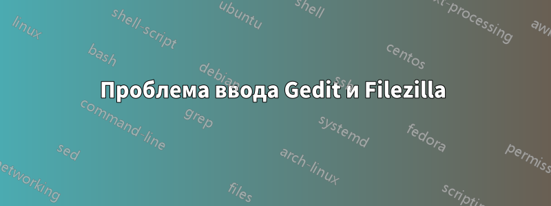 Проблема ввода Gedit и Filezilla