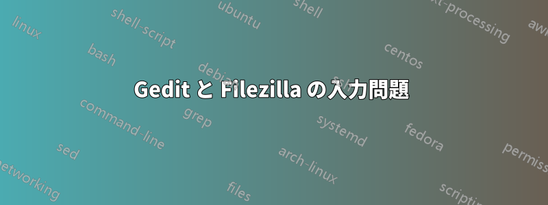 Gedit と Filezilla の入力問題