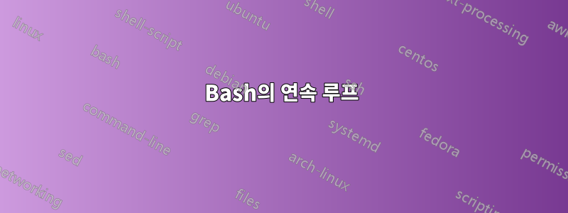 Bash의 연속 루프