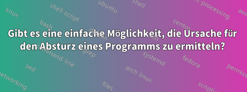 Gibt es eine einfache Möglichkeit, die Ursache für den Absturz eines Programms zu ermitteln?