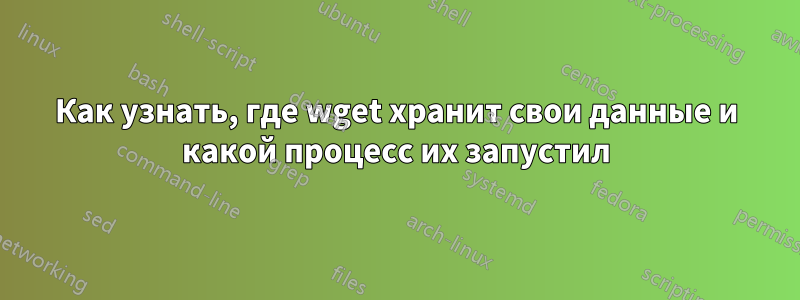 Как узнать, где wget хранит свои данные и какой процесс их запустил