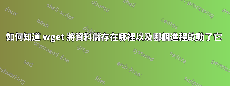 如何知道 wget 將資料儲存在哪裡以及哪個進程啟動了它