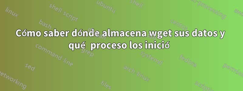Cómo saber dónde almacena wget sus datos y qué proceso los inició